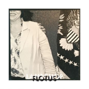 Lambchop - Flotus i gruppen VINYL hos Bengans Skivbutik AB (2062465)