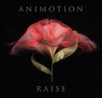 Animotion - Raise Your Expectations i gruppen CD hos Bengans Skivbutik AB (2063983)