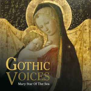 Gothic Voices - Mary Star Of The Sea i gruppen CD hos Bengans Skivbutik AB (2072093)