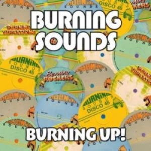 Various Artists - Burning Up! (4 Cd) i gruppen CD hos Bengans Skivbutik AB (2072460)