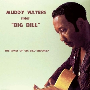 Waters Muddy - Sings Big Bill i gruppen 10399 hos Bengans Skivbutik AB (2074006)