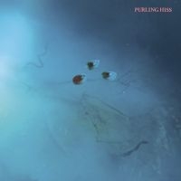 Purling Hiss - High Bias i gruppen VINYL hos Bengans Skivbutik AB (2084209)