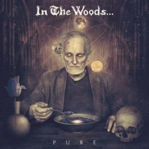 In The Woods - Pure (2 Lp) + Insert And Download C i gruppen VINYL hos Bengans Skivbutik AB (2097762)