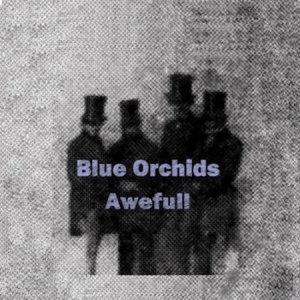 Blue Orchids - Awefull i gruppen VINYL hos Bengans Skivbutik AB (2098359)