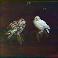 Dungen - Häxan i gruppen Minishops / Dungen hos Bengans Skivbutik AB (2101159)