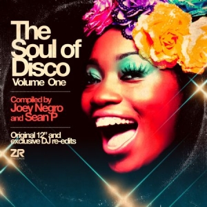 Various Artists - Soul Of Disco 1 i gruppen VINYL hos Bengans Skivbutik AB (2102044)