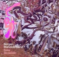 Bergen Mandolin Band - Siste Skrik i gruppen VINYL hos Bengans Skivbutik AB (2116168)