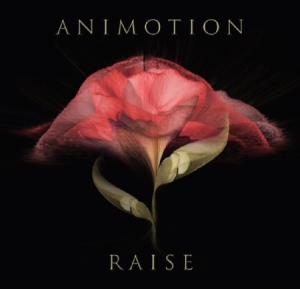 Animotion - Raise Your Expectations i gruppen VINYL hos Bengans Skivbutik AB (2168075)