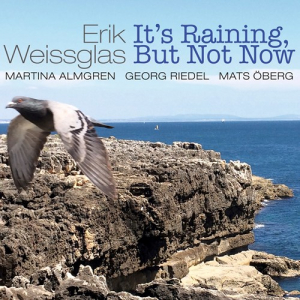 Weissglas Erik - It's Raining, But Not Now i gruppen CD hos Bengans Skivbutik AB (2170709)