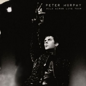 Murphy Peter - Wild Birds Live Tour i gruppen VINYL hos Bengans Skivbutik AB (2249681)