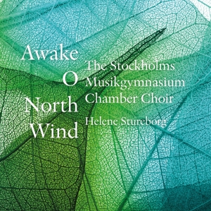 The Stockholm Musikgymnasium Chambe - Awake, O North Wind i gruppen CD hos Bengans Skivbutik AB (2263670)