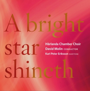 Härlanda Chamber Choir David Molin - A Bright Star Shineth i gruppen VI TIPSER / Julegavetips CD hos Bengans Skivbutik AB (2263673)