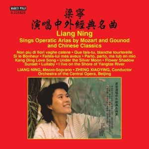 Ning Liang Central Opera Orchestra - Opera Arias By Gounod And Mozart An i gruppen VI TIPSER / Julegavetips CD hos Bengans Skivbutik AB (2279361)