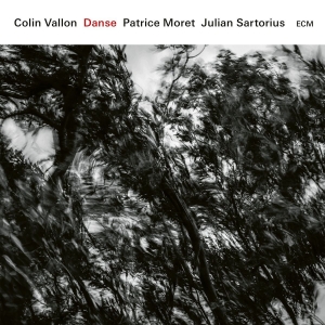 Colin Vallon Trio - Danse i gruppen CD hos Bengans Skivbutik AB (2281423)