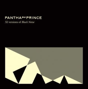 Pantha Du Prince - Xi Versions Of Black Noise i gruppen CD hos Bengans Skivbutik AB (2284540)