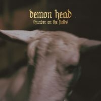 Demon Head - Thunder On The Fields Lp Black i gruppen Labels / The Sign Records / Demon Head hos Bengans Skivbutik AB (2288138)