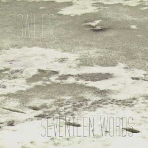 Gailes - Seventeen Words i gruppen VINYL hos Bengans Skivbutik AB (2366318)