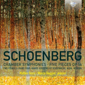 Matteo Fossi Marco Gaggini - Chamber Symphonies & Five Pieces Op i gruppen CD hos Bengans Skivbutik AB (2384977)