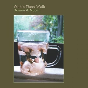 Damon & Naomi - Within These Walls i gruppen VINYL hos Bengans Skivbutik AB (2400116)