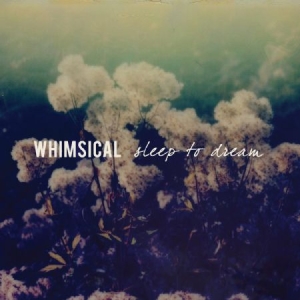 Whimsical - Sleep To Dream i gruppen VINYL hos Bengans Skivbutik AB (2400141)