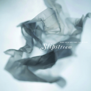 Slipstream - Maybe The Day Will Come/Like No Oth i gruppen VINYL hos Bengans Skivbutik AB (2400183)