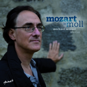 Wessel Michael - Mozart In Moll i gruppen CD hos Bengans Skivbutik AB (2404052)