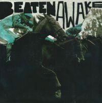 Beaten Awake - Coming Home i gruppen VINYL hos Bengans Skivbutik AB (2404663)