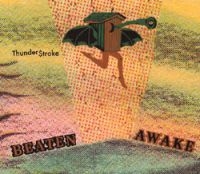 Beaten Awake - Thunderstroke i gruppen VINYL hos Bengans Skivbutik AB (2404671)