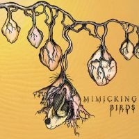 Mimicking Birds - Mimicking Birds i gruppen CD hos Bengans Skivbutik AB (2404696)