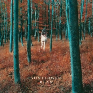 Sunflower Bean - I Hear Voices i gruppen VINYL hos Bengans Skivbutik AB (2404709)