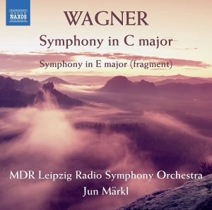 Mdr Leipzig Radio Symphony Orchestr - Symphony In C Major i gruppen VI TIPSER / Julegavetips CD hos Bengans Skivbutik AB (2405726)