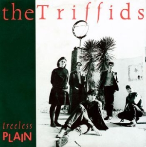 Triffids - Treeless Plain i gruppen VI TIPSER / Julegavetips CD hos Bengans Skivbutik AB (2407072)