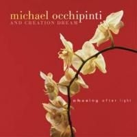 Occhipinti   Michael - Chasing After Light i gruppen CD hos Bengans Skivbutik AB (2414178)