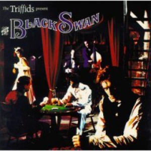 Triffids - Black Swan i gruppen CD hos Bengans Skivbutik AB (2414252)