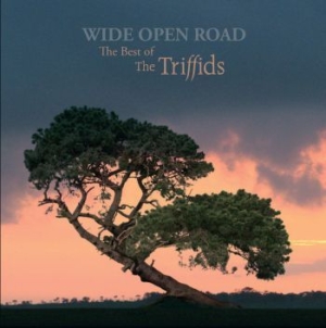 Triffids - Wide Open RoadBest Of i gruppen CD hos Bengans Skivbutik AB (2414254)