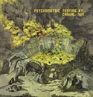 Casual Nun - Psychometric Testing By. i gruppen VINYL hos Bengans Skivbutik AB (2422531)