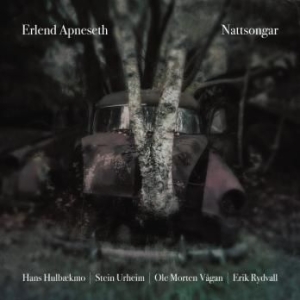 Apneseth Erlend - Nattsongar i gruppen CD hos Bengans Skivbutik AB (2430438)