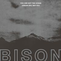 Bison - You Are Not The Ocean You Are The P i gruppen VINYL hos Bengans Skivbutik AB (2437222)