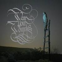 Wear Your Wounds - Wyw i gruppen CD hos Bengans Skivbutik AB (2451032)