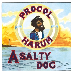 Procol Harum - A Salty Dog i gruppen VI TIPSER / Klassiska lablar / Music On Vinyl hos Bengans Skivbutik AB (2463501)