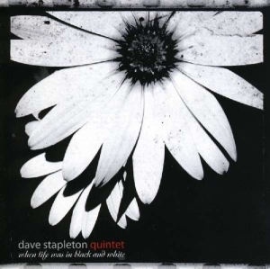 Stapleton Dave - House Always Wins i gruppen CD hos Bengans Skivbutik AB (2465403)