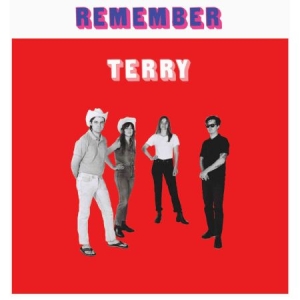 Terry - Remember Terry i gruppen VINYL hos Bengans Skivbutik AB (2478695)