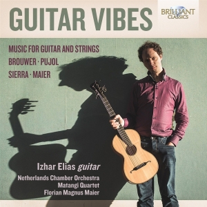 Various - Guitar Vibes i gruppen VI TIPSER / Julegavetips CD hos Bengans Skivbutik AB (2491282)