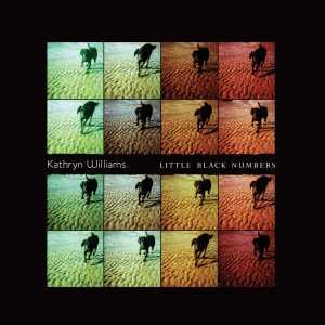 Williams Kathryn - Little Black Numbers i gruppen VINYL hos Bengans Skivbutik AB (2510790)