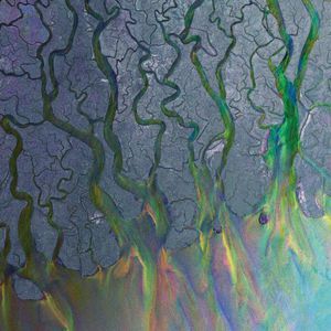 Alt-J - An Awesome Wave i gruppen VINYL hos Bengans Skivbutik AB (2516602)