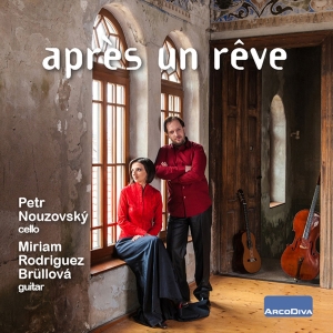 Various - Après Un Rêve i gruppen CD hos Bengans Skivbutik AB (2518562)