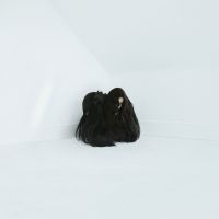 Wolfe Chelsea - Hiss Spun (2 Lp Vinyl) i gruppen VINYL hos Bengans Skivbutik AB (2519873)