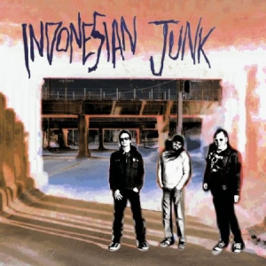 Indonesian Junk - Indonesian Junk i gruppen VINYL hos Bengans Skivbutik AB (2519915)