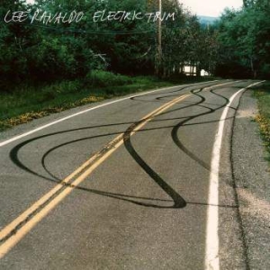 Ranaldo Lee - Electric Trim i gruppen CD hos Bengans Skivbutik AB (2520064)