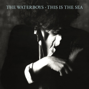 The Waterboys - This Is The Sea i gruppen Minishops / Waterboys hos Bengans Skivbutik AB (2527346)